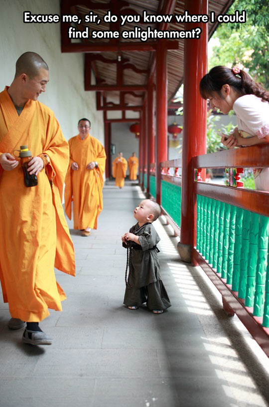 Little+Monk