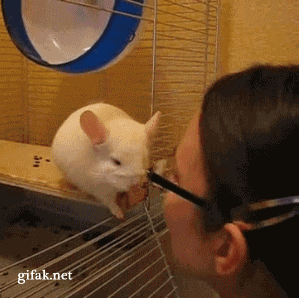 Ewww.+Don%26%238217%3Bt+kiss+me+human.