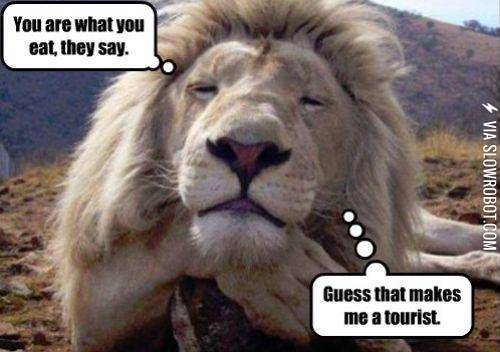 I%26%238217%3Bm+a+tourist%21