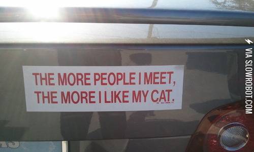 The+more+people+I+meet%2C+the+more+I+like+my+cat.