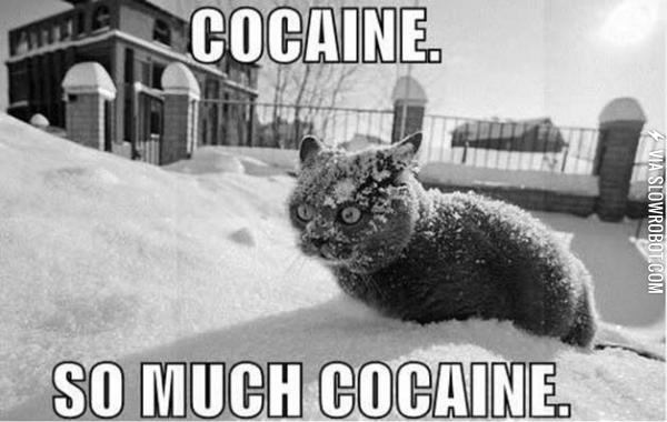 So+much+cocaine
