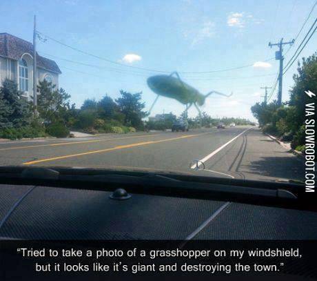 Grasshopper+monster.