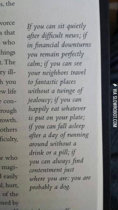 A+dog%26%238217%3Bs+life