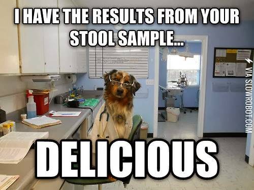 The+results+of+your+stool+sample+are+in%26%238230%3B