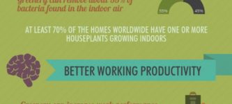 How+Indoor+Landscaping+Boosts+Health