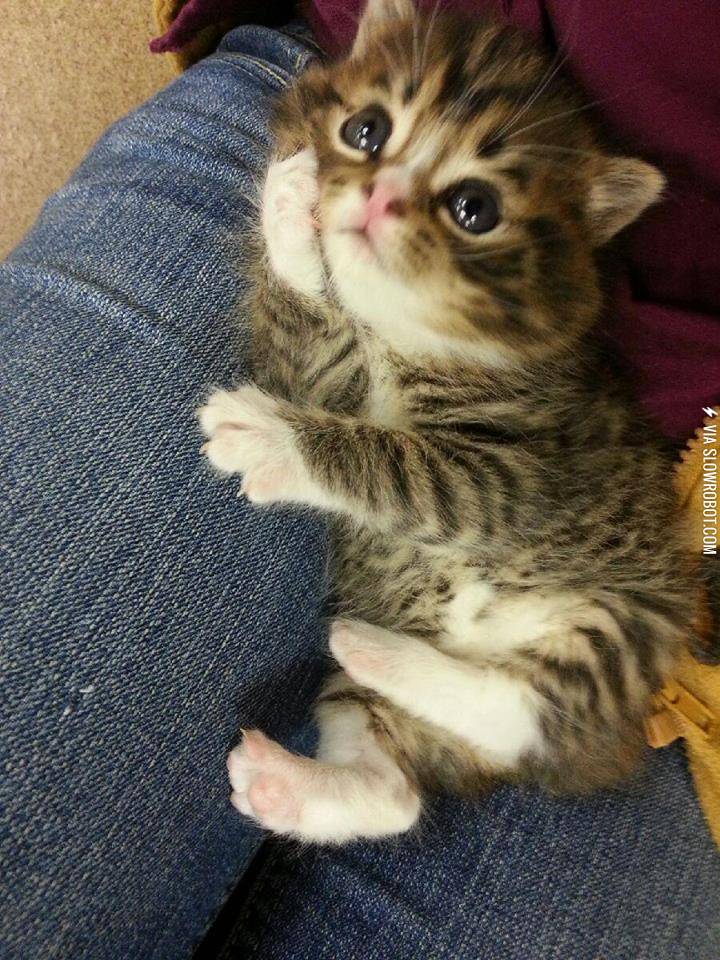 Hey..+Whatcha+thinking+about%3F