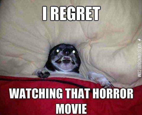 Every+time+I+watch+a+scary+movie.