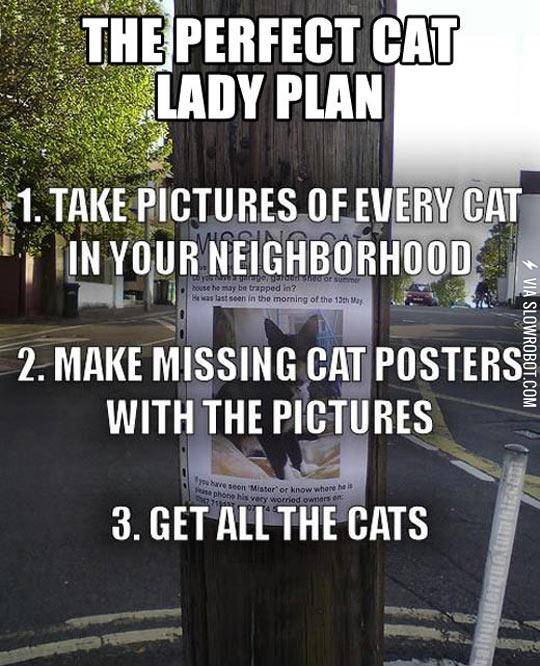 Perfect+Cat+Lady+Plan
