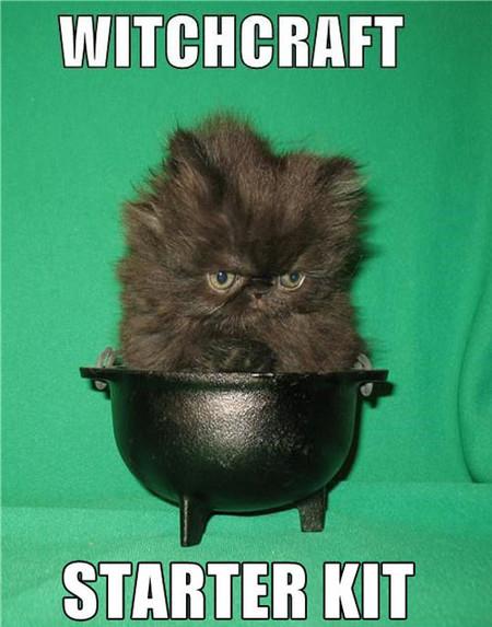 Witchcraft+Starter+Kit