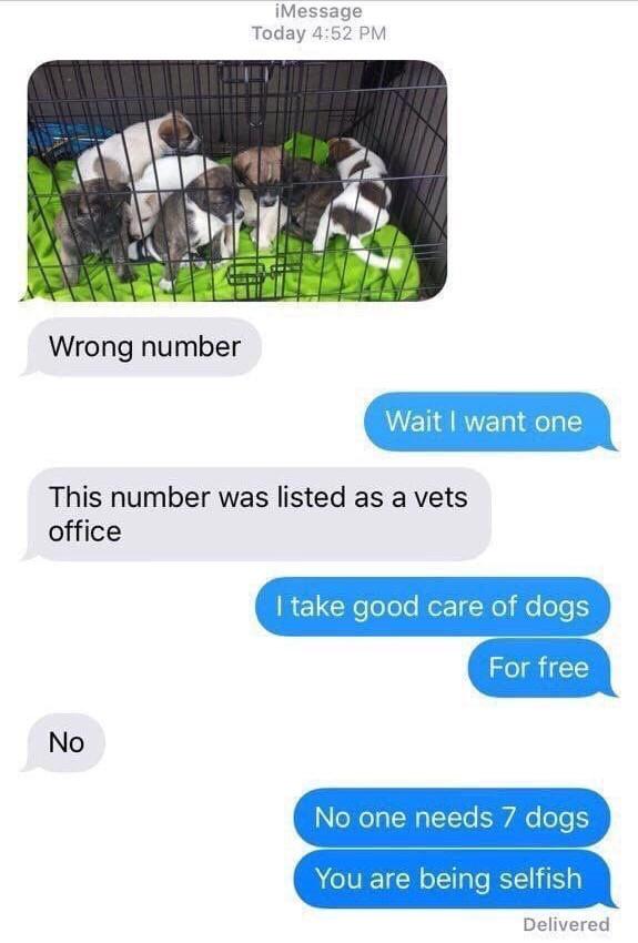 Wrong+Pupper