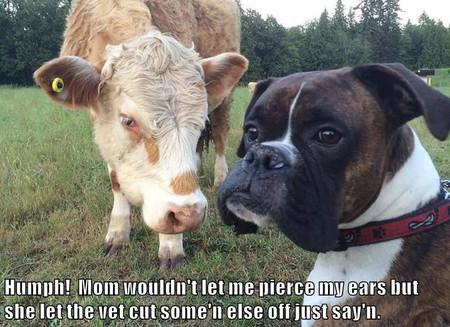 Humph%21+Mom+Wouldn%26%238217%3Bt+Let+Me+Pierce+My+Ears