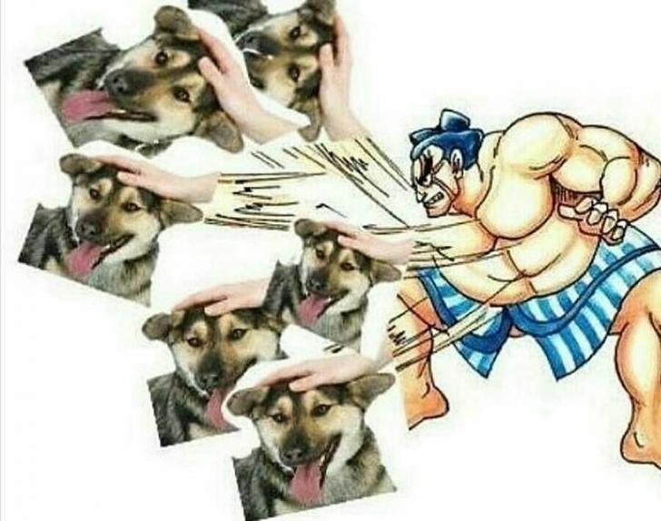 When+you+visit+a+pet+adoption+centre