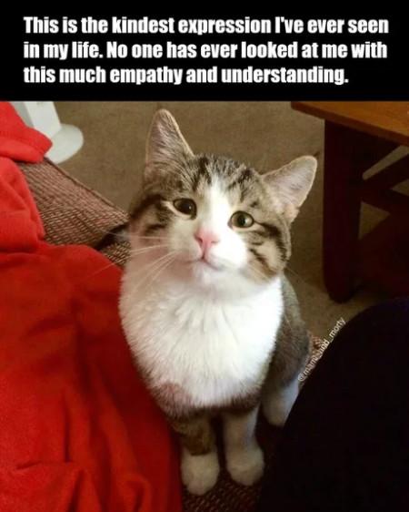 This+is+the+kindest+expression+I%26%238217%3Bve+ever+witnessed.