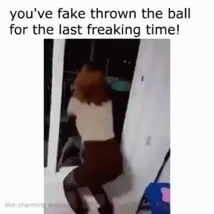 Dog+is+done+playing+around%26%238230%3B