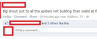 Thanks+spiders.