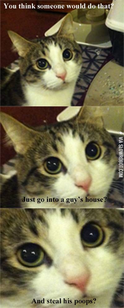 Every+time+I+clean+the+litter+box.