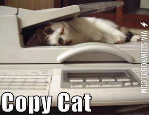 Copy+Cat