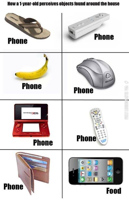 1+year+old+perception