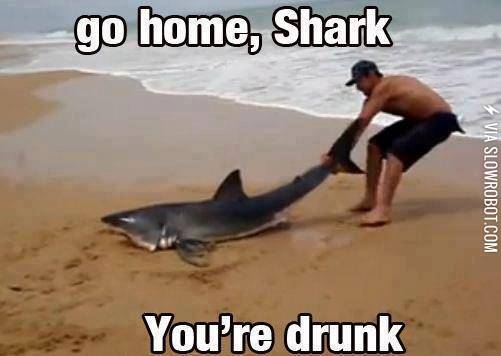 Swimming+in+Alcohol%26%238230%3B