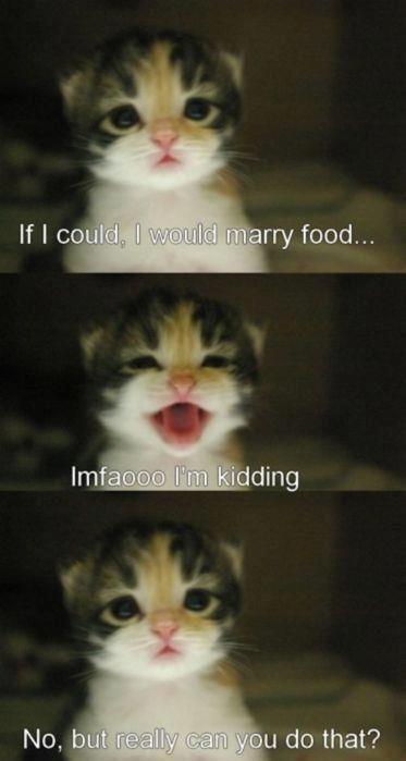 I+would+marry+food