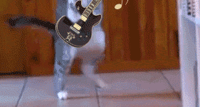 Kitty+air+guitar.