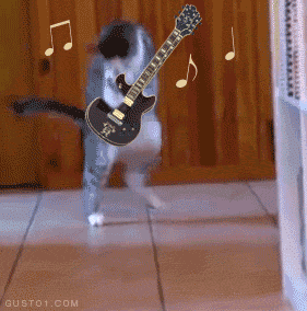 Kitty+air+guitar.