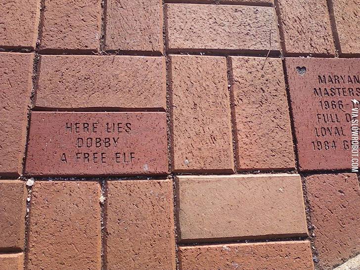 Here+lies+Dobby.+A+free+elf.