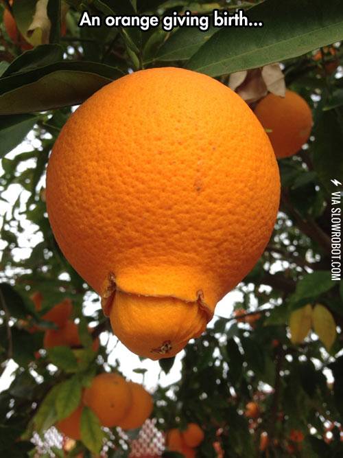 So+that%26%238217%3Bs+how+it+works.