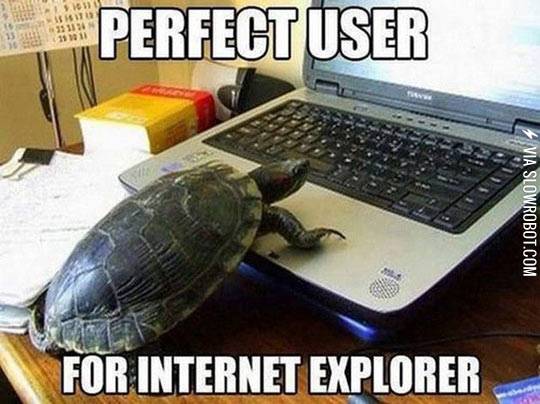 Typical+IE+user.