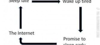 The+circle+of+life.