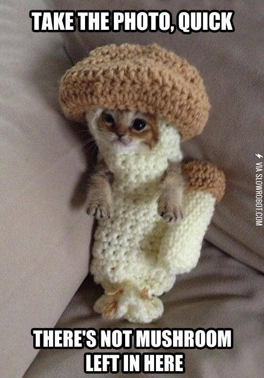 Take+The+Photo+Already