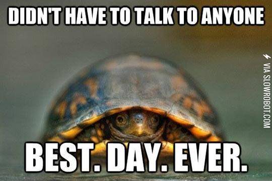 Introverts+Will+Understand