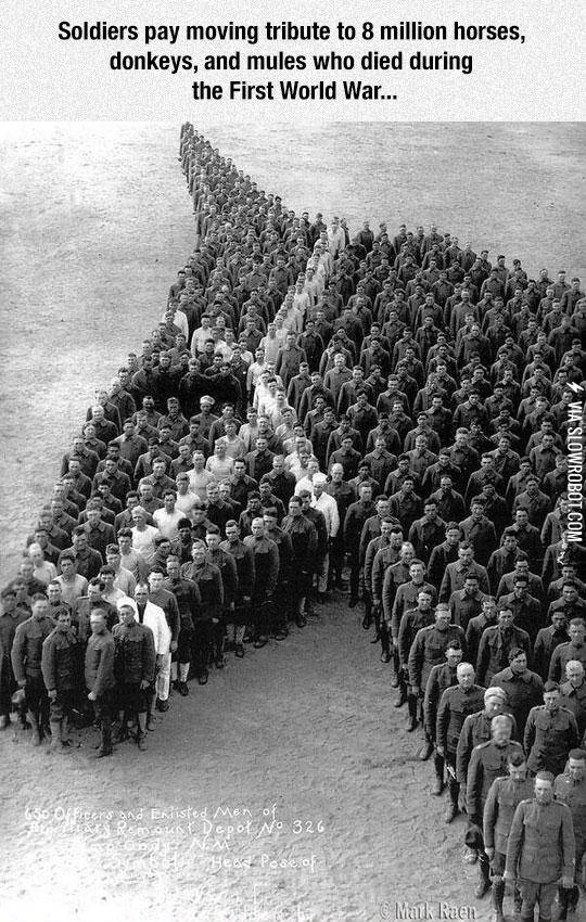 Soldiers+Paying+Tribute