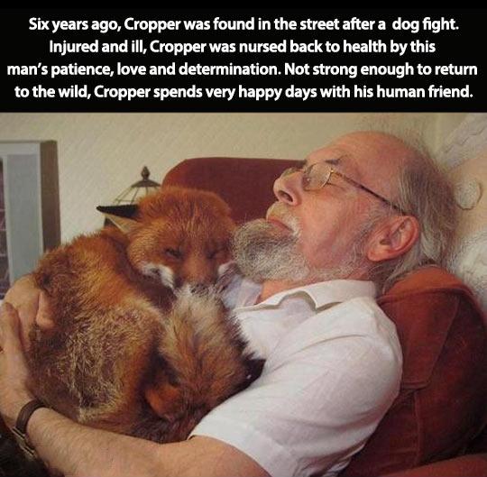 Copper+is+a+happy+puppers