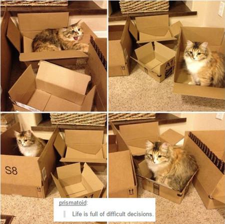 Life+Is+Full+Of+Difficult+Decisions