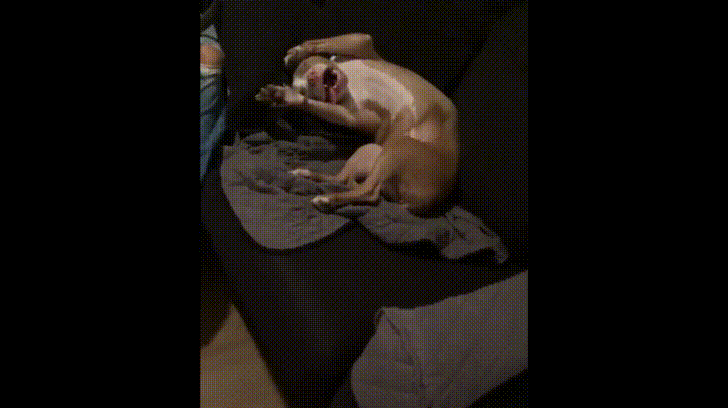 What%26%238230%3B.what+year+is+it%3F