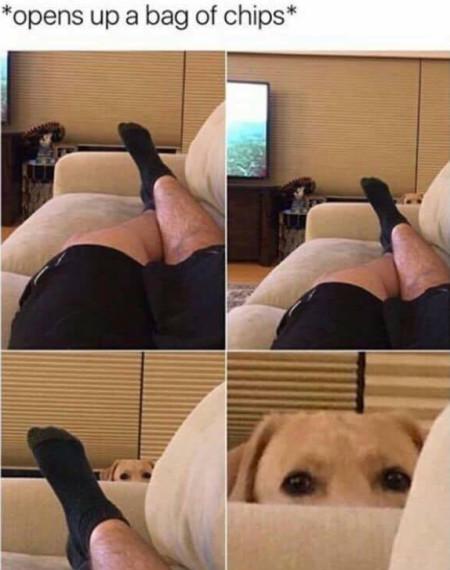 Opens+Up+A+Bag+Of+Chips