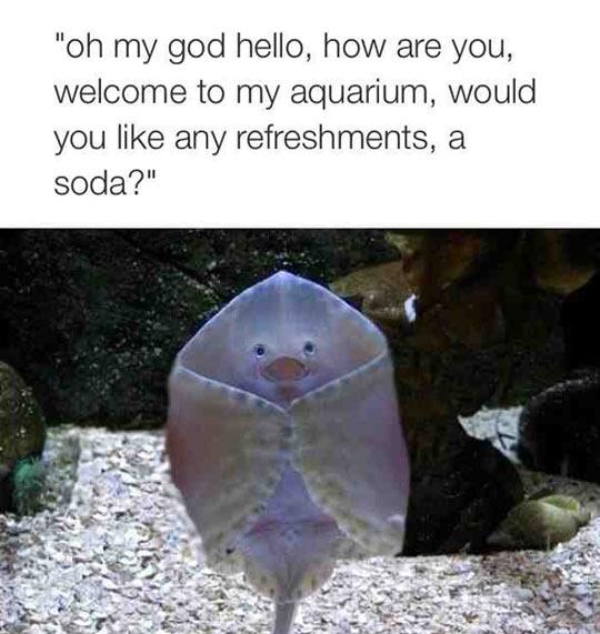 Service+was+oceanic.