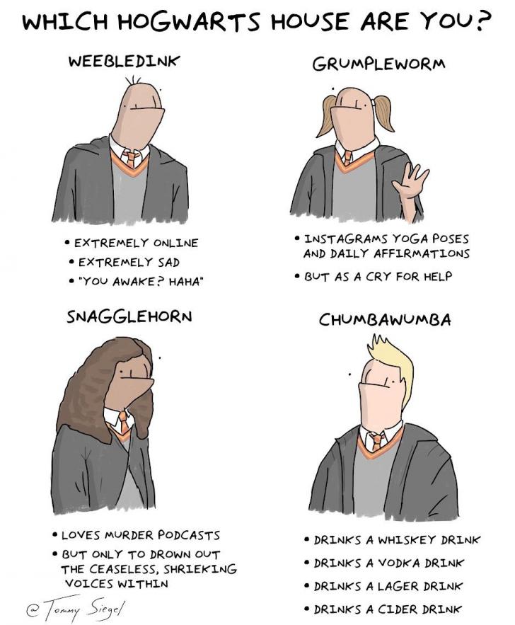 know+your+hogwarts+house
