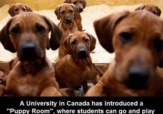 Started+my+transfer+paperwork+already.