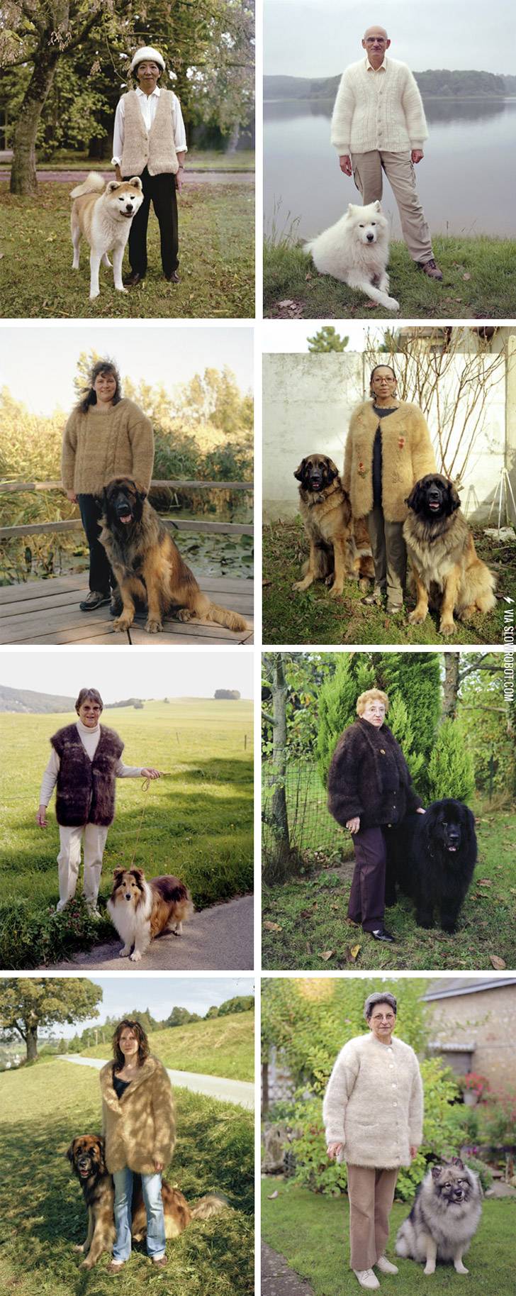 Owners+wearing+sweaters+made+out+of+wool+from+their+dogs.