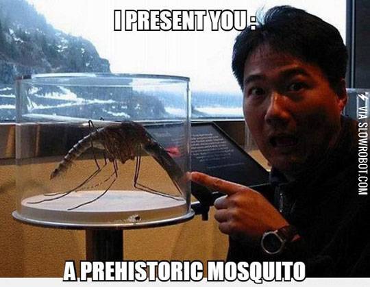 A+prehistoric+mosquito.