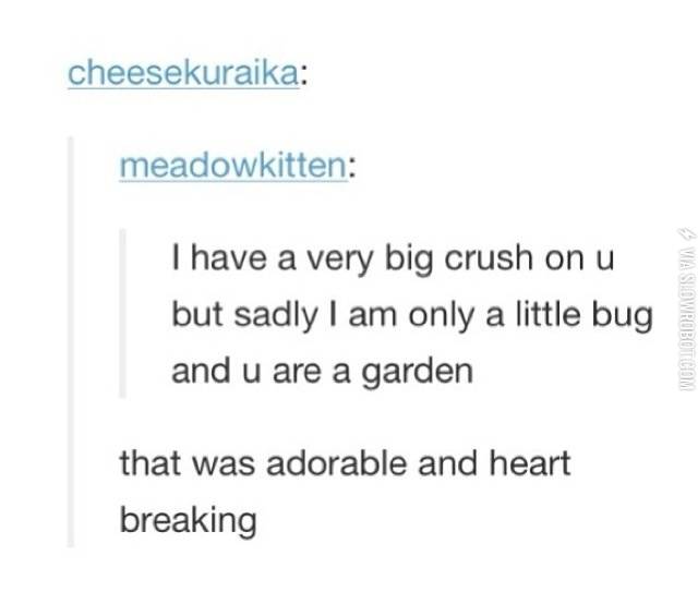 I%26%238217%3Bm+a+bug%2C+and+you+are+a+garden.