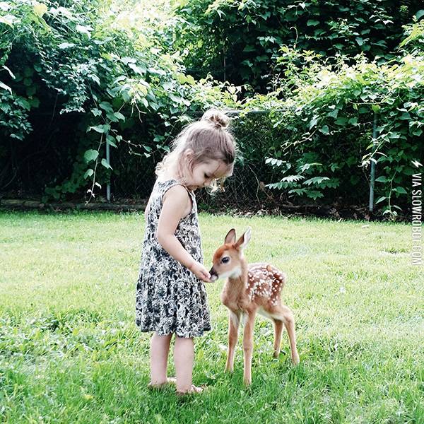 Disney+Princess+in+training