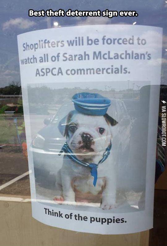 Theft+Deterrent+Measure