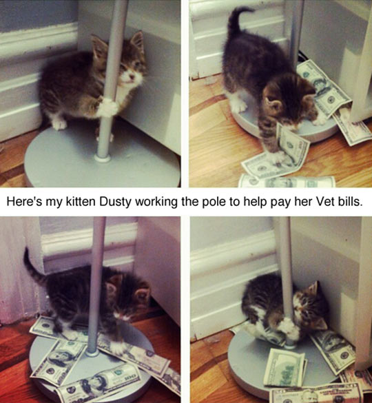 Just+Helping+To+Pay+The+Bills