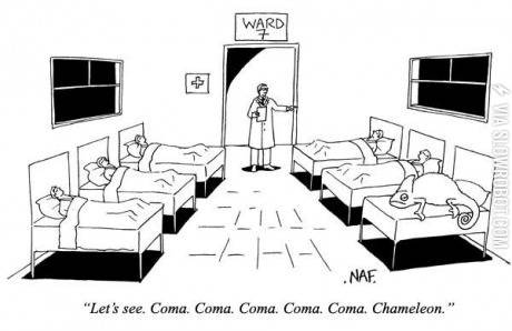 Making+rounds+at+the+hospital.