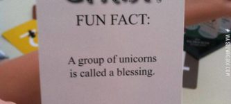 Fun+Fact+About+Unicorns