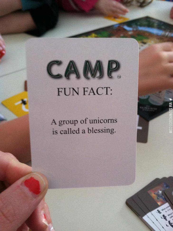 Fun+Fact+About+Unicorns