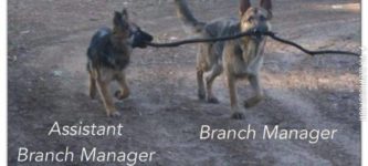 branch+managers